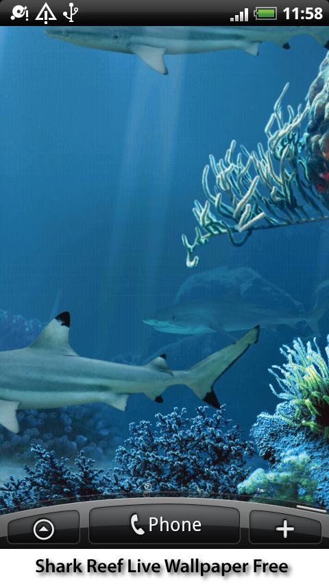 Shark Reef Live Wallpaper Android Apps On Google Play