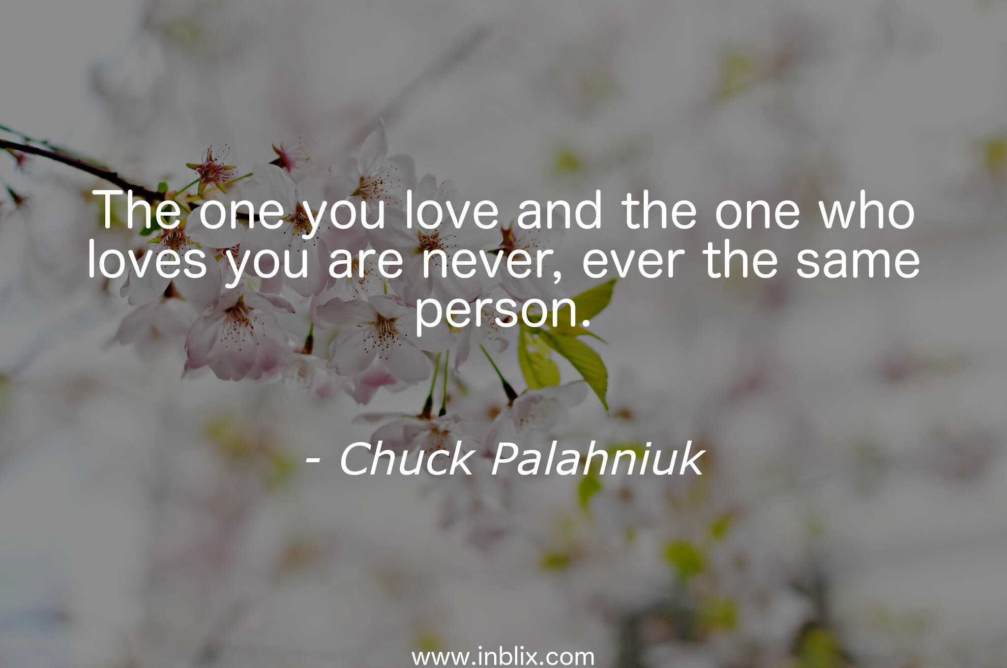 The One You Love And W By Chuck Palahniuk Inblix