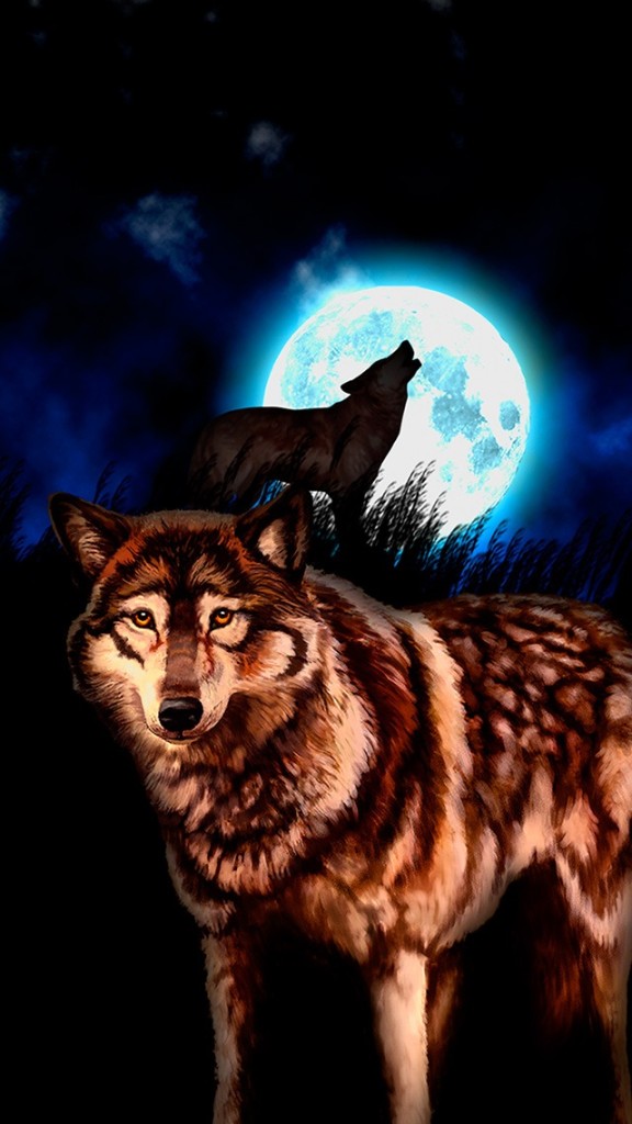 Wolf Night Wallpaper   Free iPhone Wallpapers