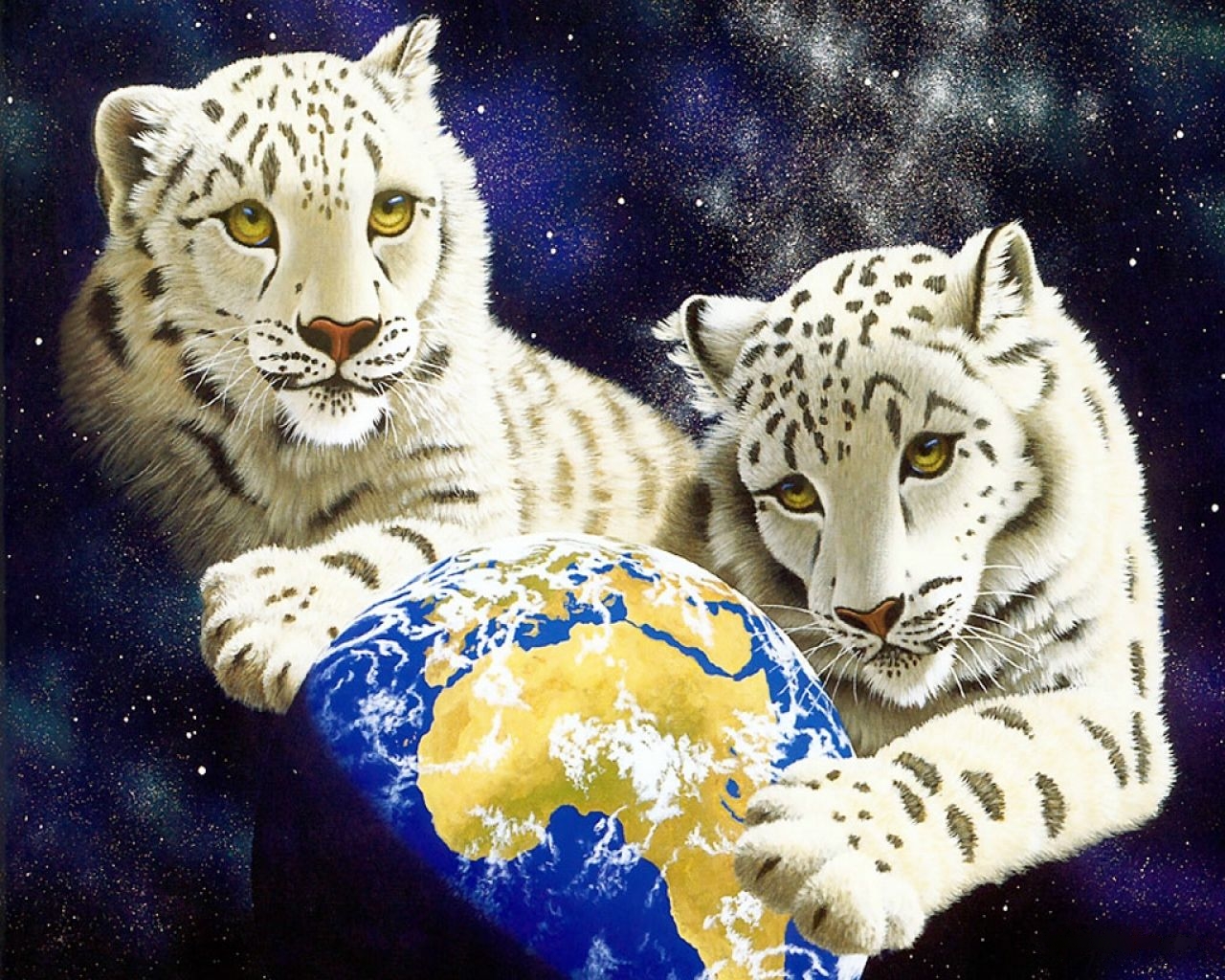 Baby White Tigers Wallpaper HD