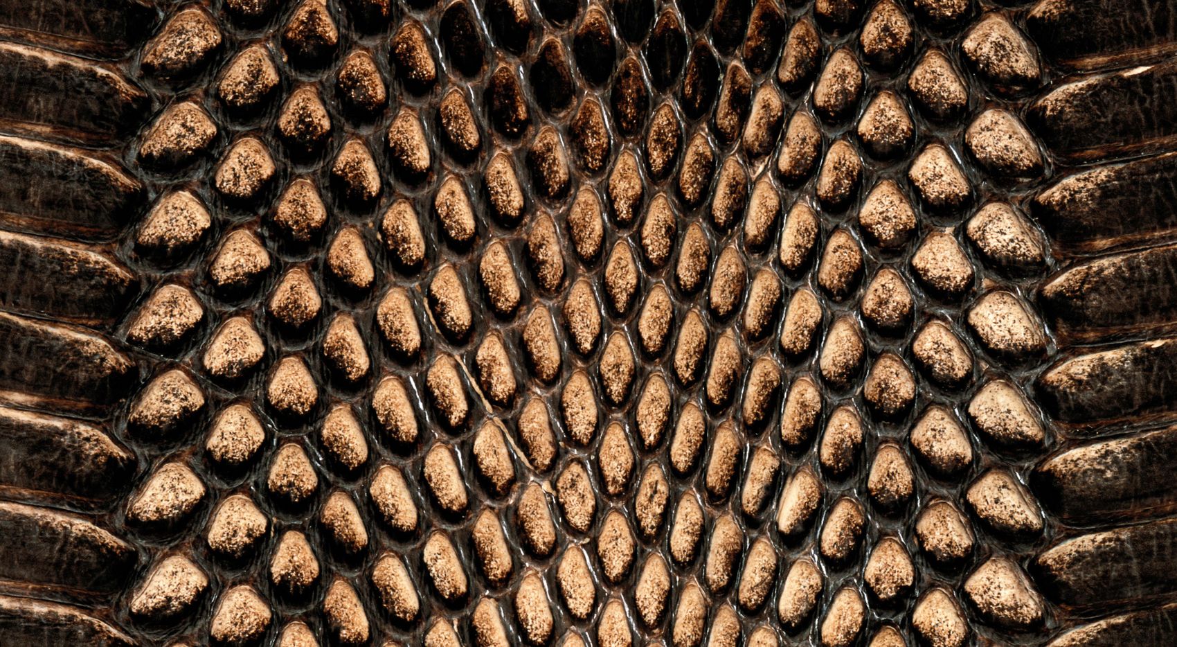 Reptile Skin Wallpaper