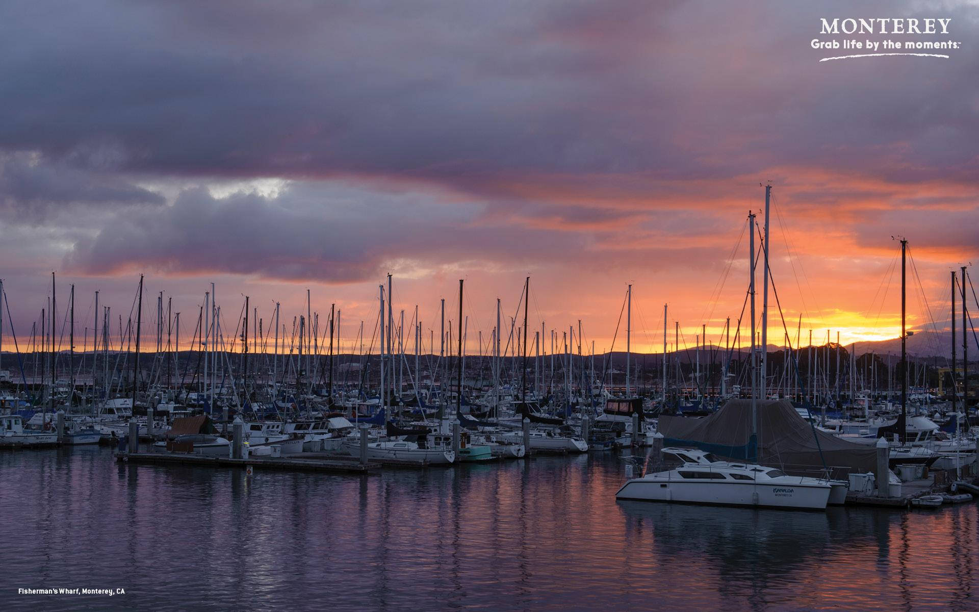 Fishermans Wharf Wallpaper