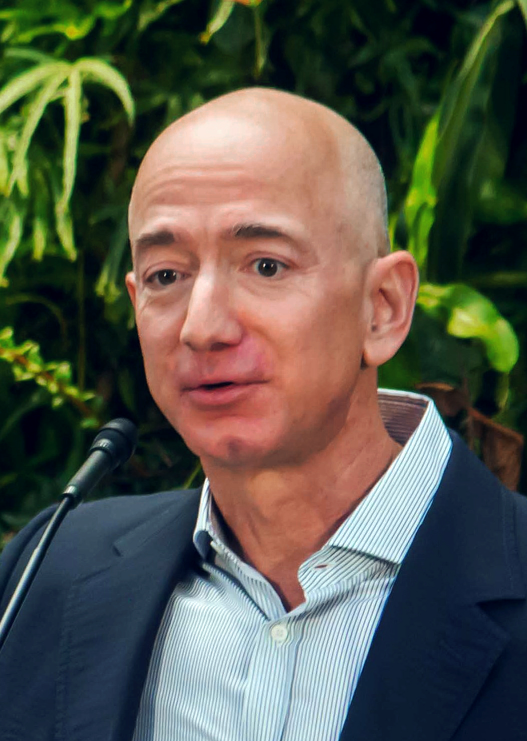 Jeff Bezos Wikipedia