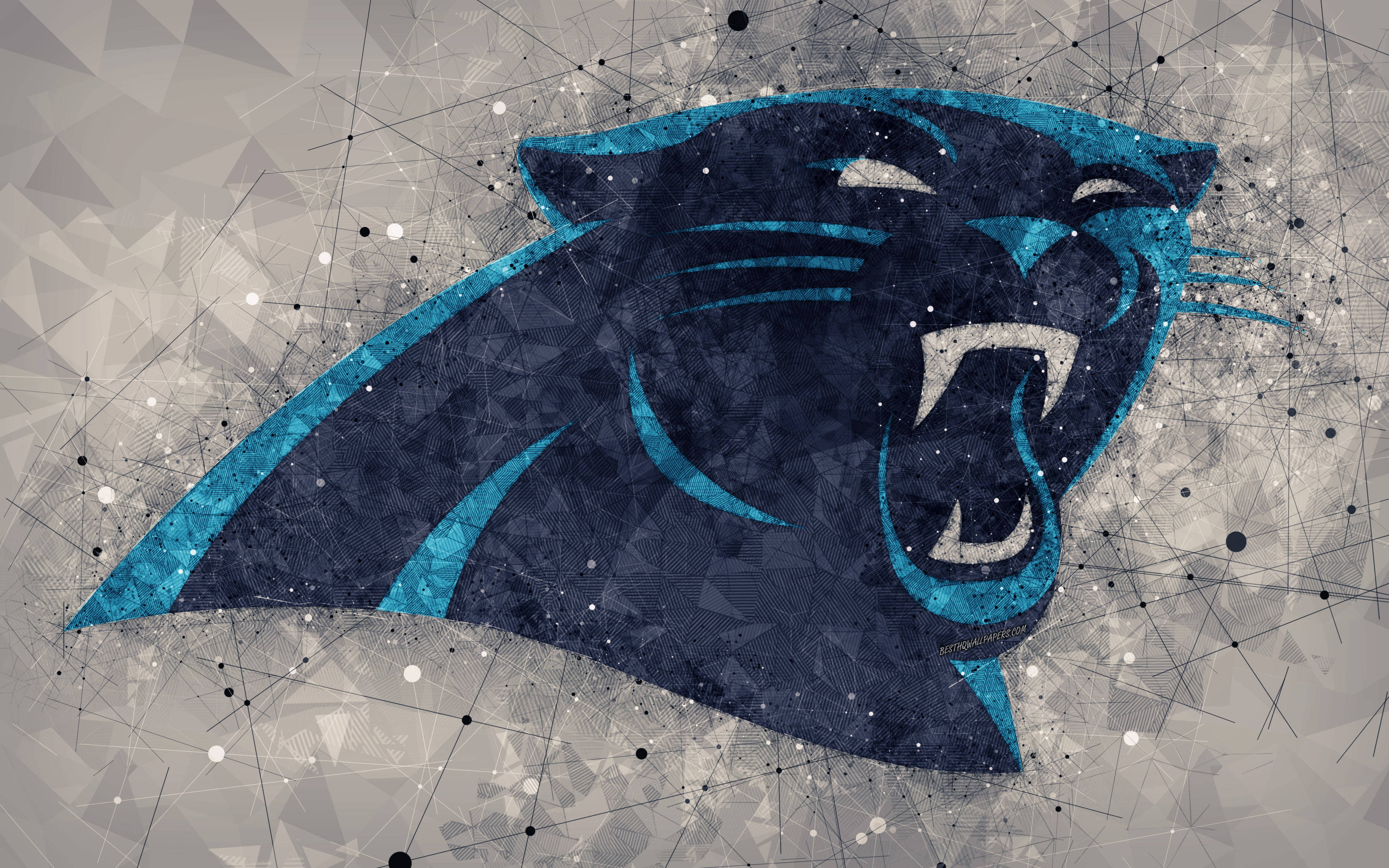 Carolina Panthers Logo Wallpaper