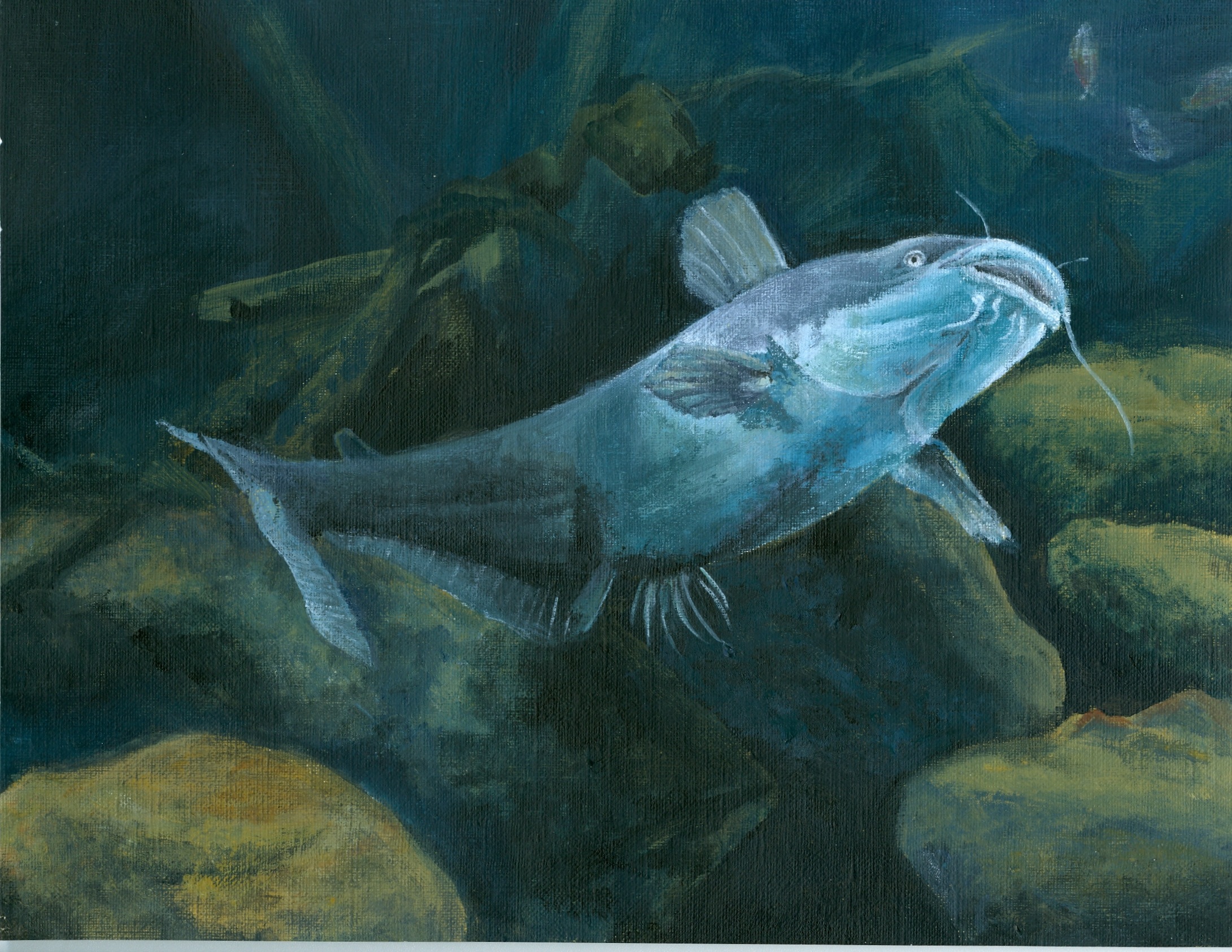Freshwater Fish Catfish Cartoon Seamless Wallpaper Stock Vector   Illustration of vector pattern 104301477