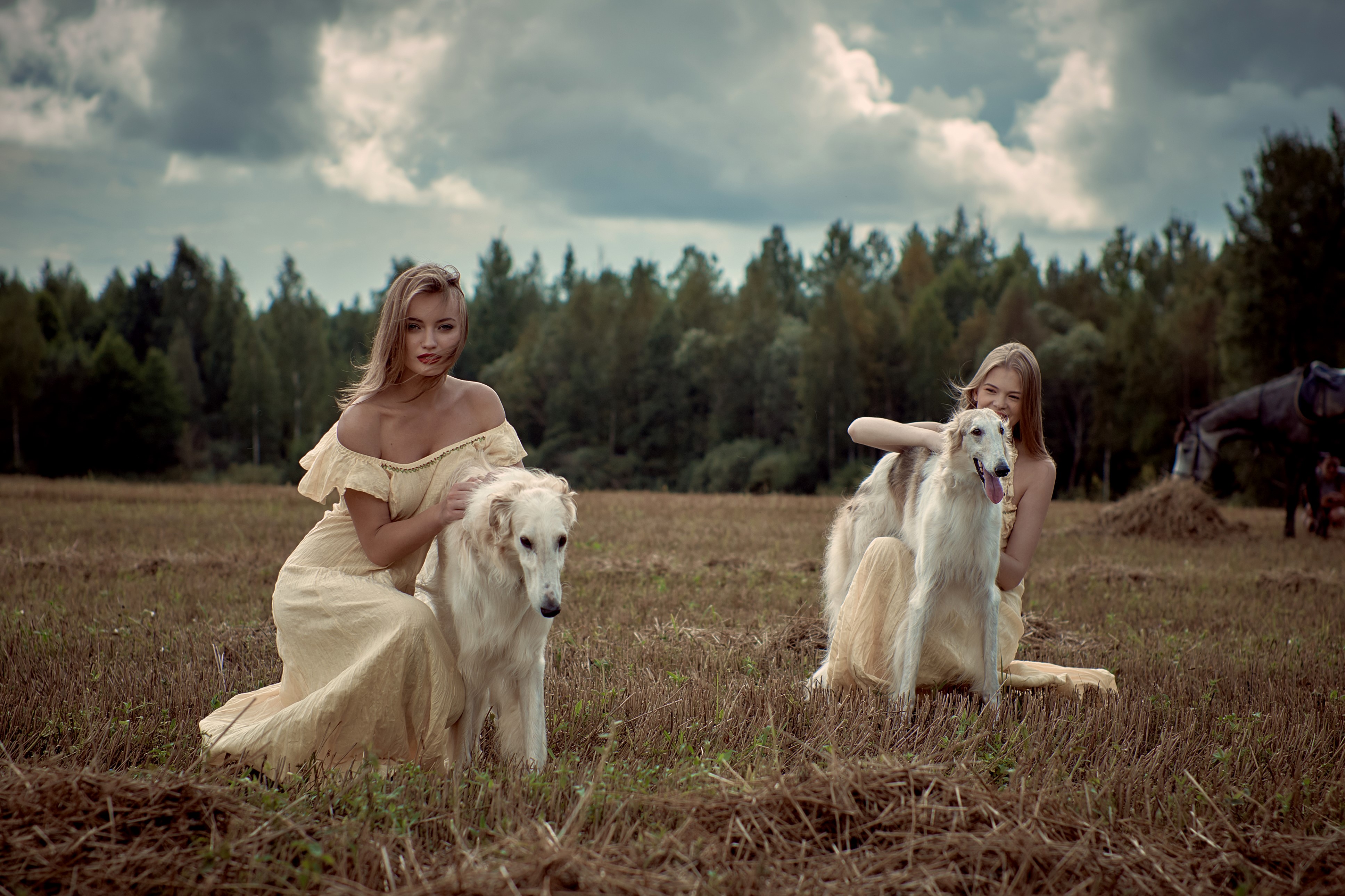 4k Russian Hunting Sighthound Dogs Blonde Girl Two Wallpaper