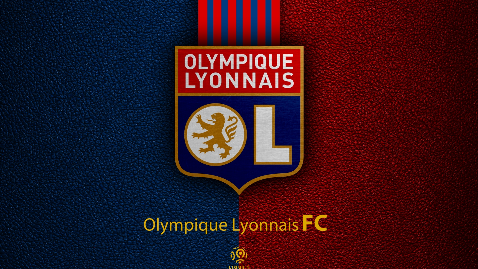 Olympique Lyonnais 4k Ultra HD Wallpaper Background