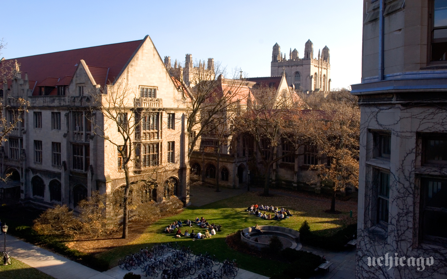 Photos Wallpaper College Admissions The University Of Chicago