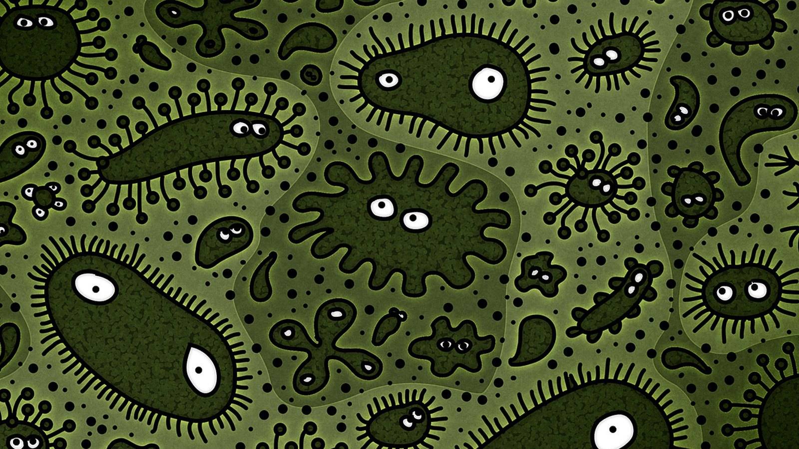 Cartoons Bacteria Wallpaper