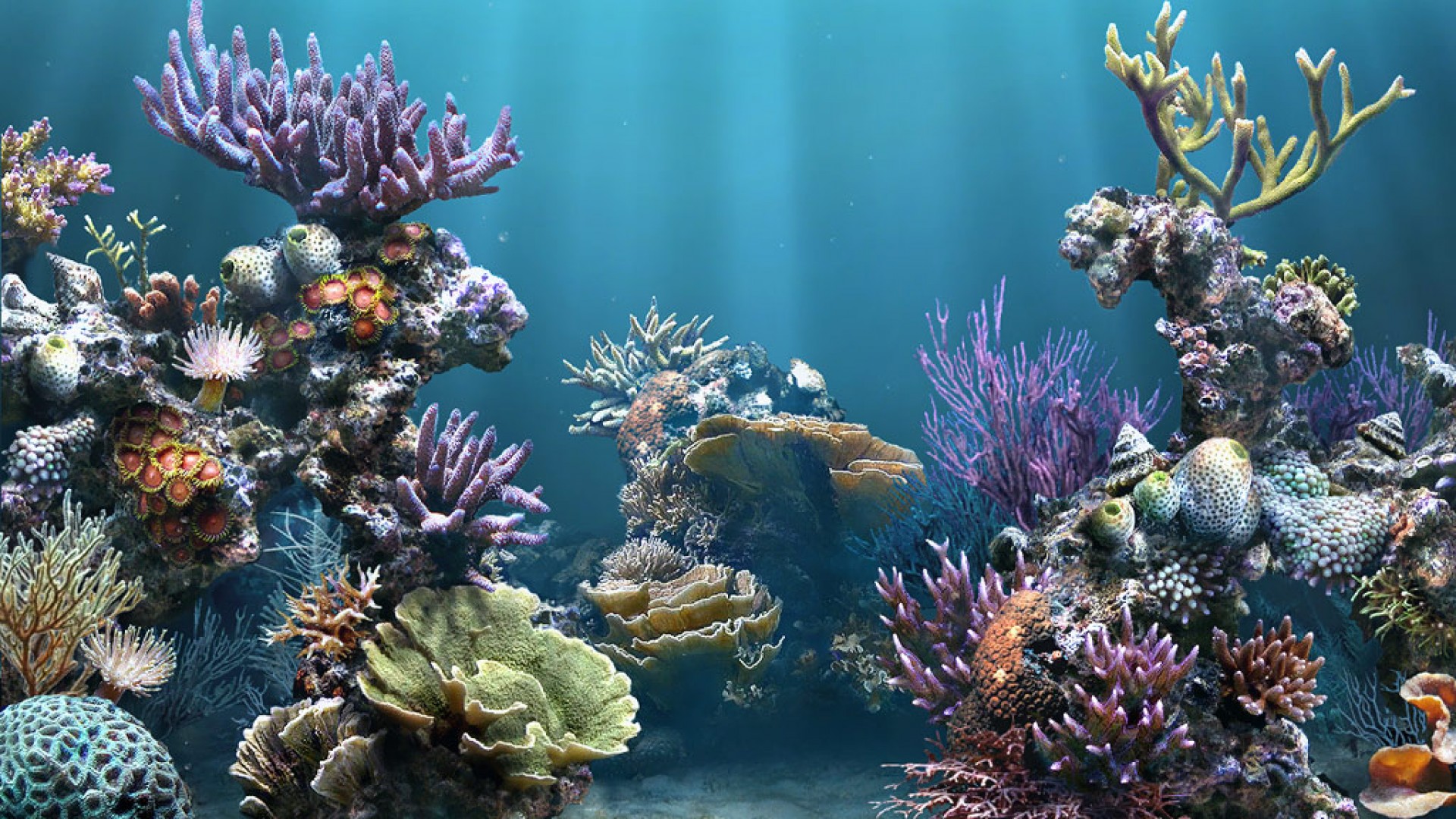HD Aquarium Background 1080p