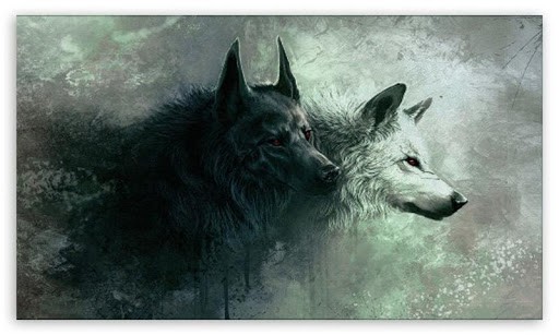 Wolf Galaxy Wallpaper App Android