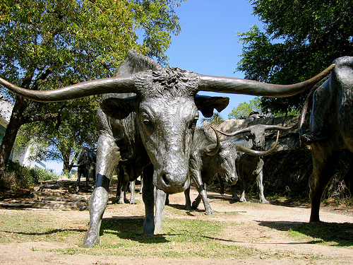 Texas Longhorn Cattle Cow Bull Bronze Sculpture Statue