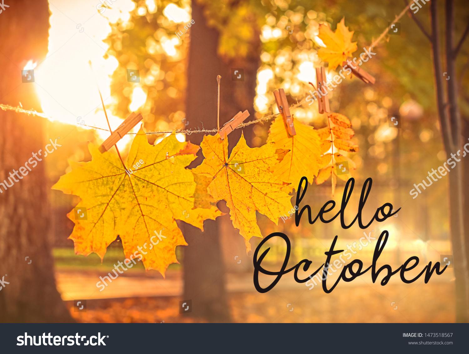 48951 Hello October Images Stock Photos Vectors Shutterstock
