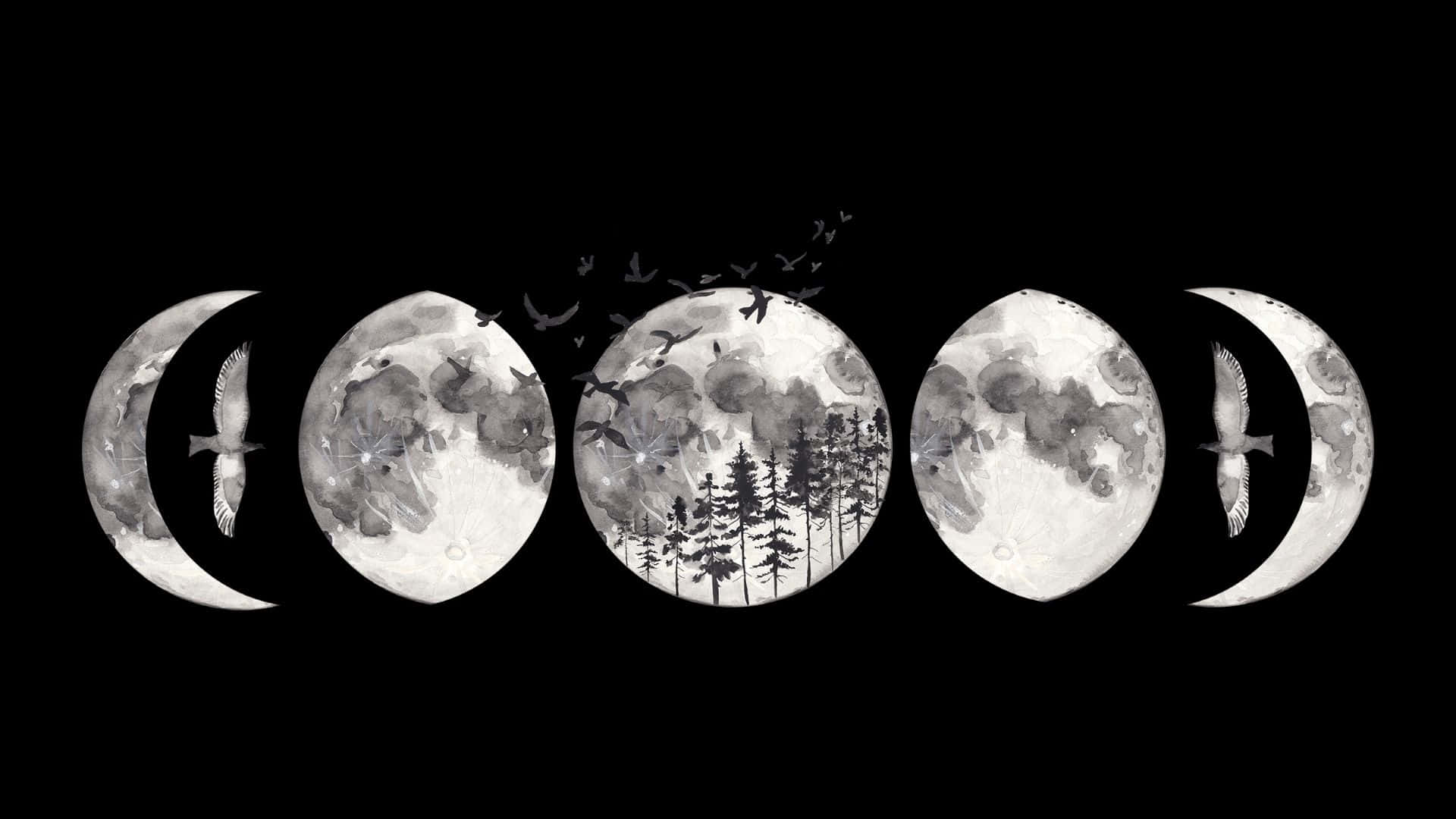 Moon Phase Wallpaper