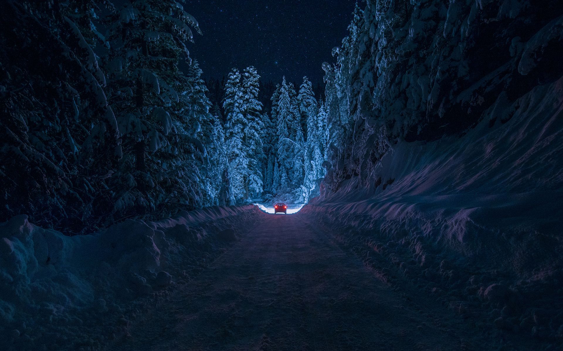 Driving Through The Snowy Forest Wallpaper