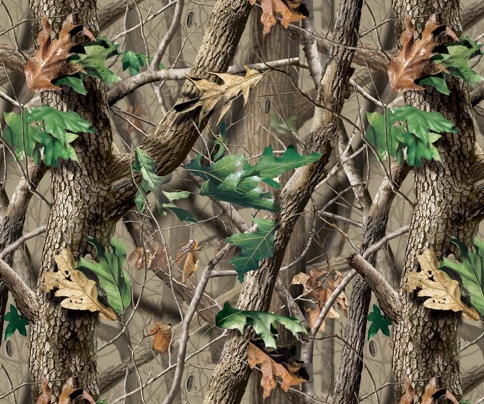 Realtree Hunting Camo Background And Blaze Pg
