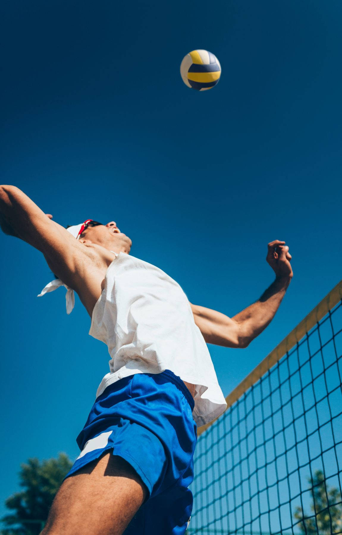 Volleyball Aesthetic Wallpaper