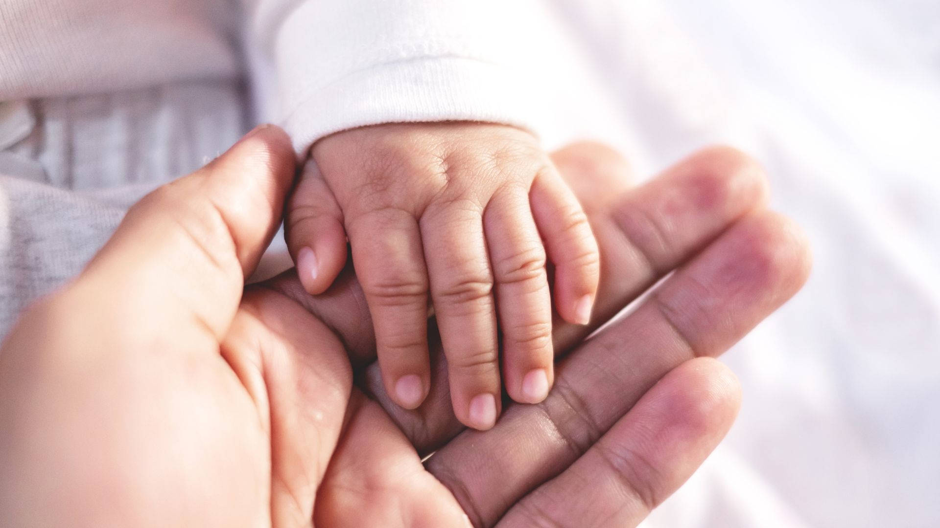 Baby Hand In A Caring Wallpaper