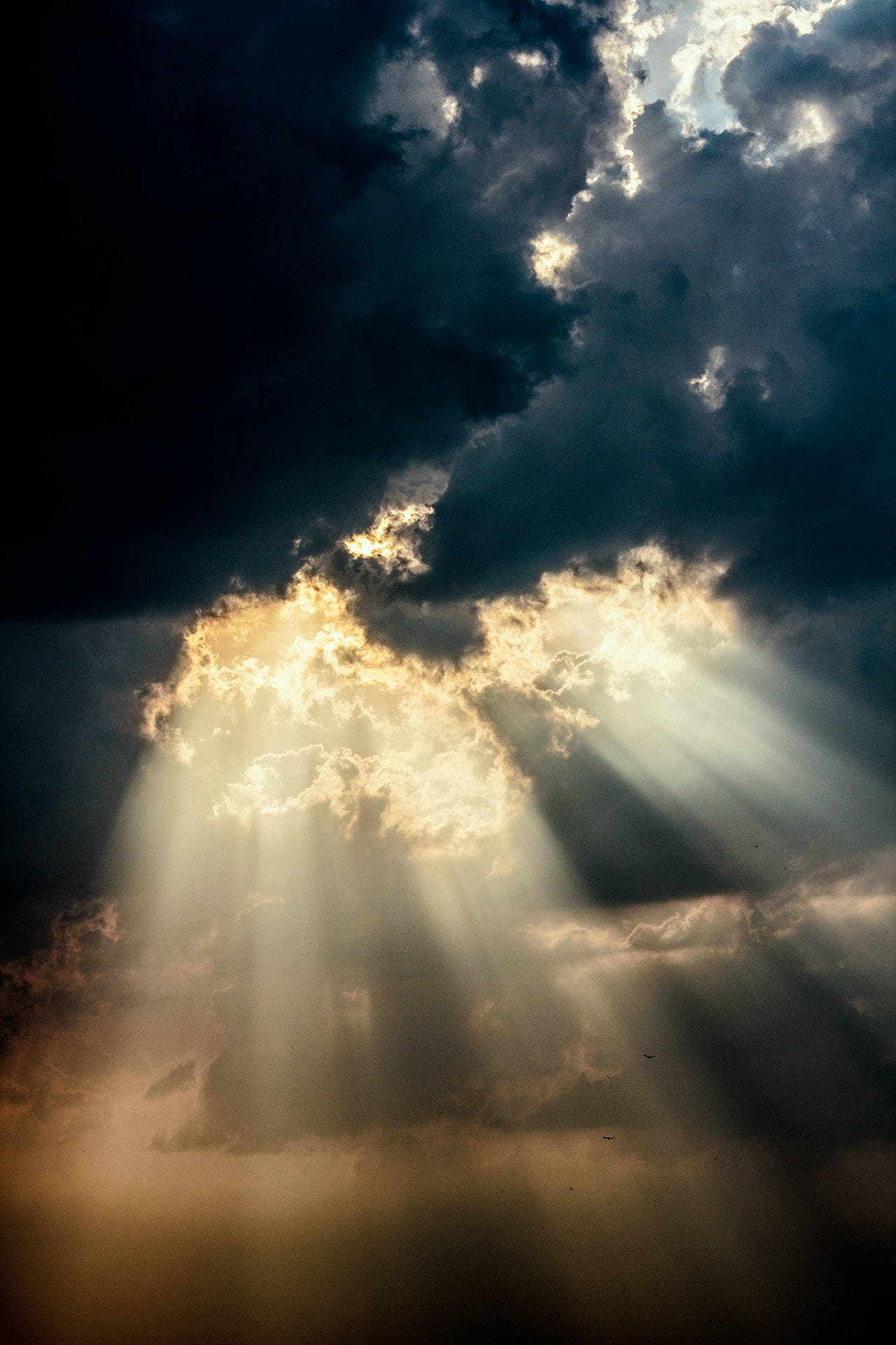 Sun Rays In Sky Wallpaper