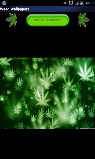 Wallpaper Weed Screensavers Play Car Pictures
