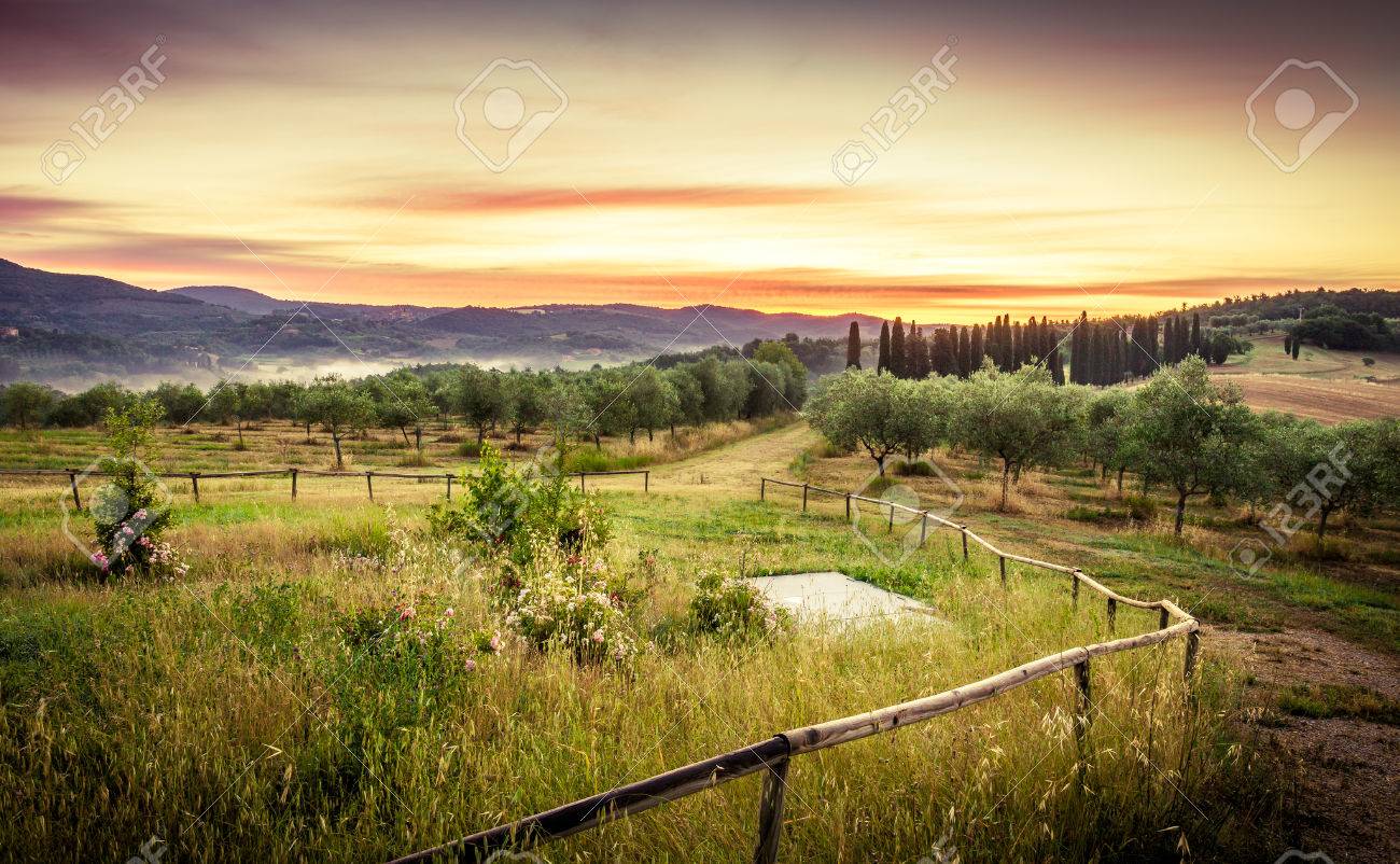 Amazing Tuscan Sunrise With Tall Cypress Trees In The Background