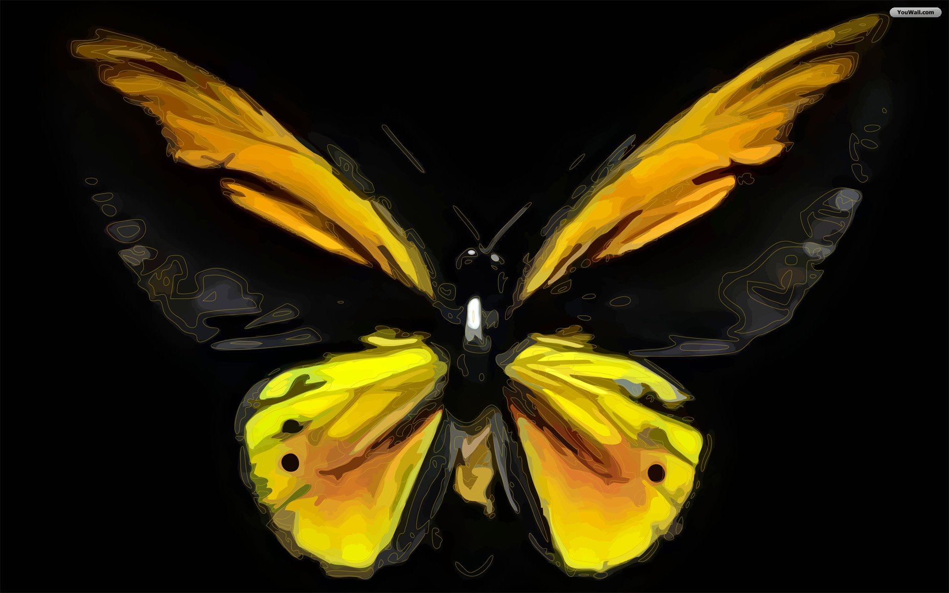 Youwall Butterfly Wallpaper
