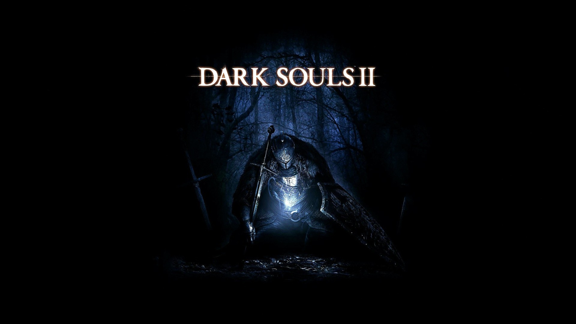 Puter Game Dark Souls Wallpaper And Image