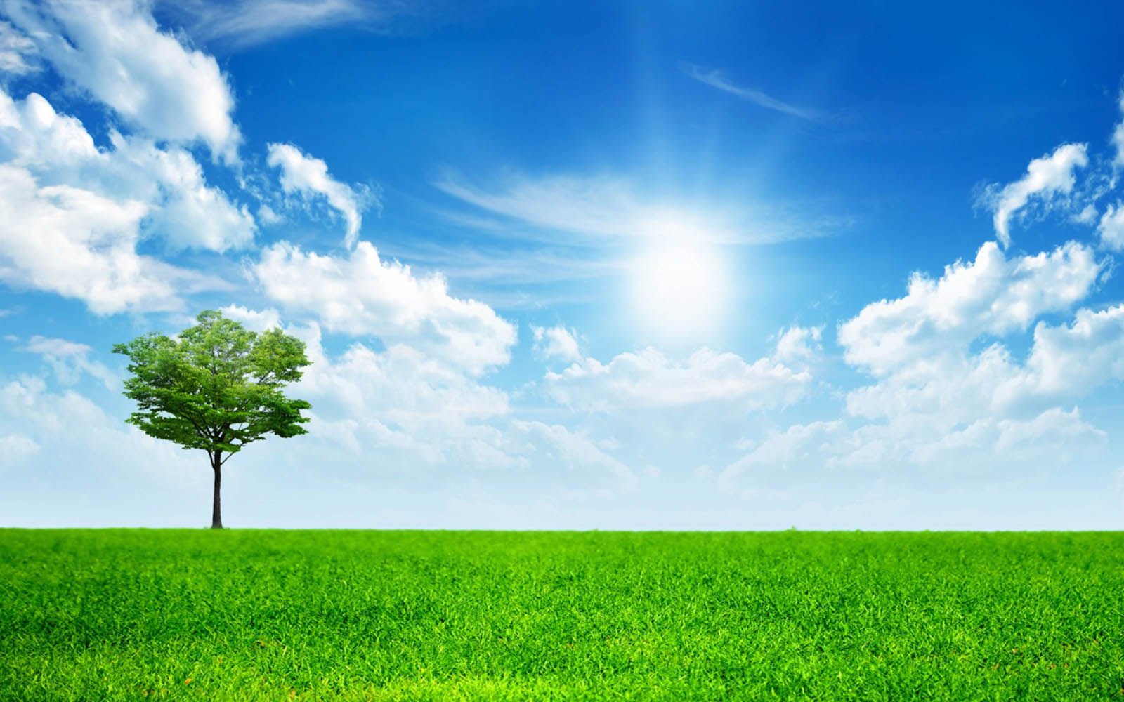 Tag Green Nature Wallpaper Background Photos Image And Pictures
