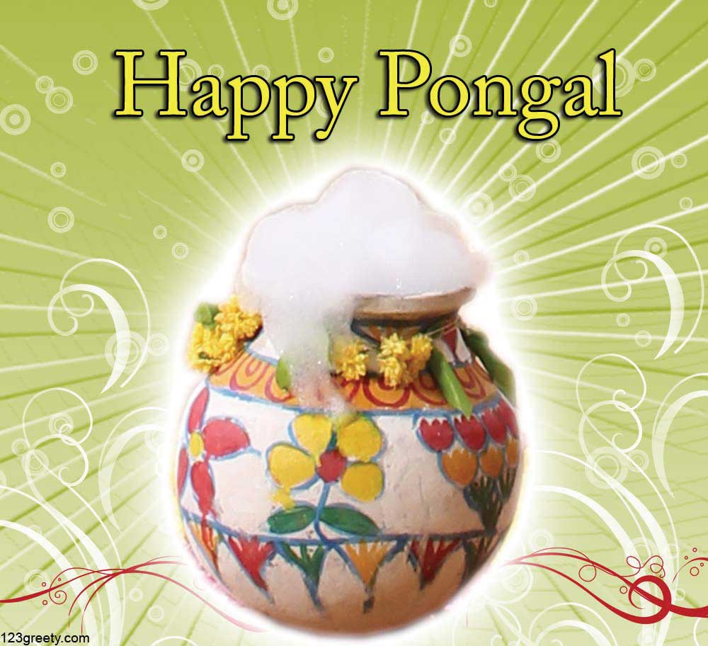 Thai Pongal Wallpaper And Greeting Cards In Bharatmoms