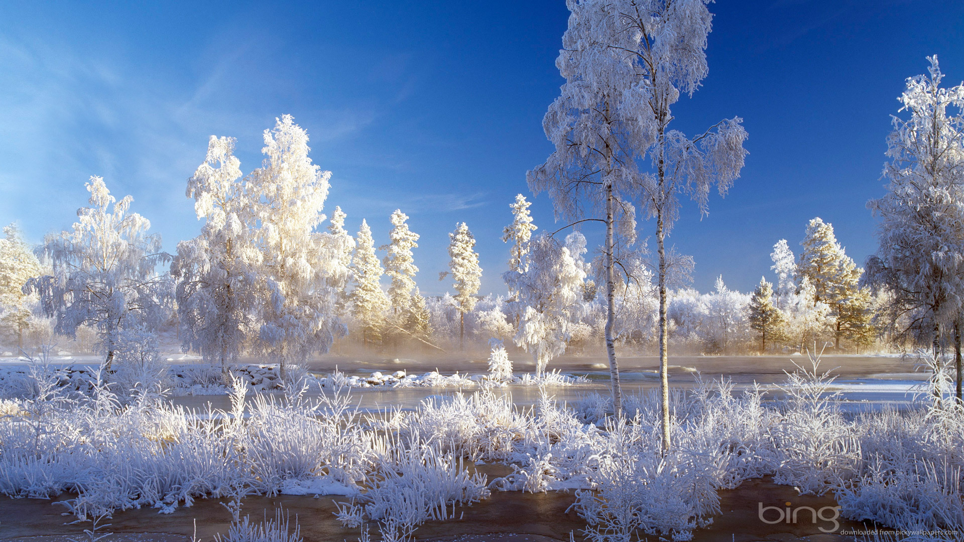 Blackberry iPad Bing Winter Landscape Screensaver For Kindle3 And Dx