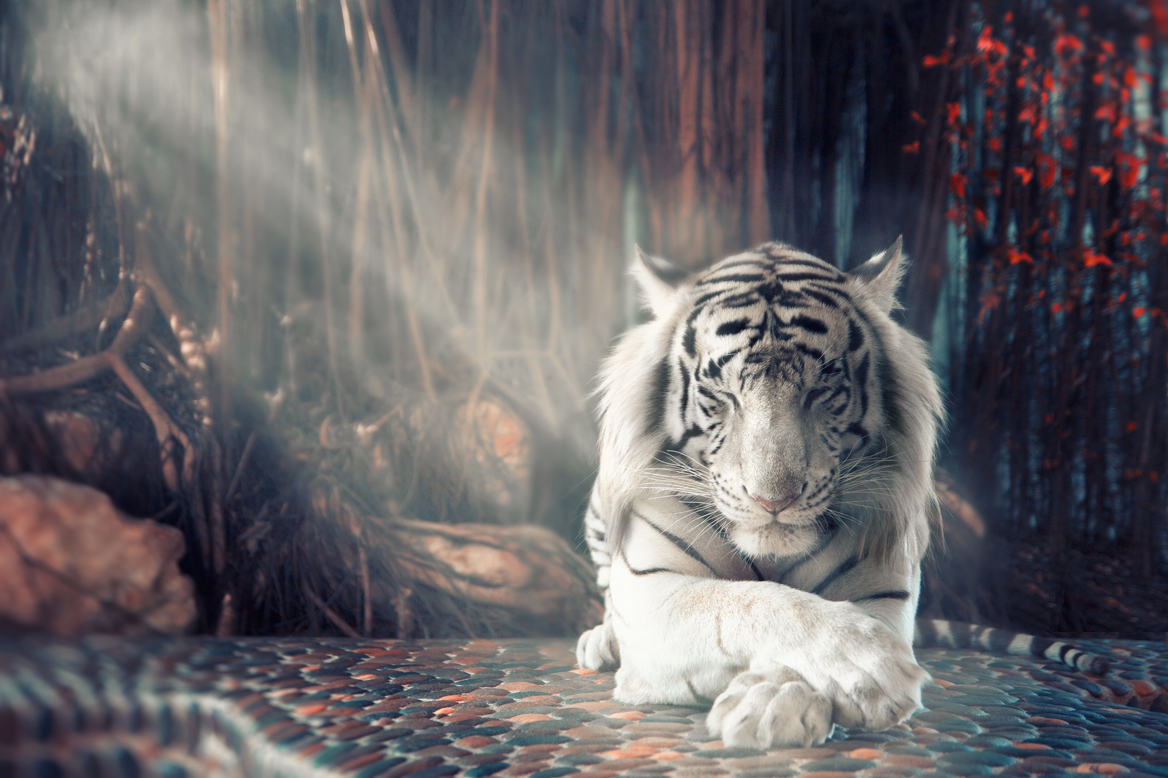 A majestic white tiger resting peacefully in a misty jungle setting, its paws crossed and eyes closed