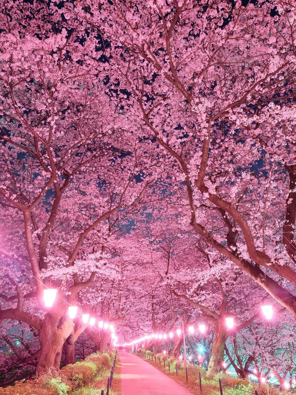 Japanese Pink Wallpaper
