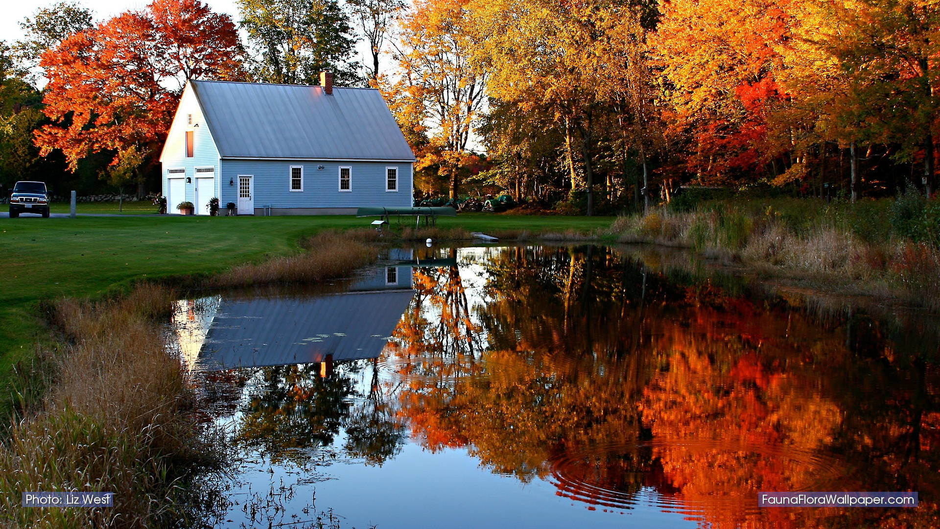 New England Wallpaper