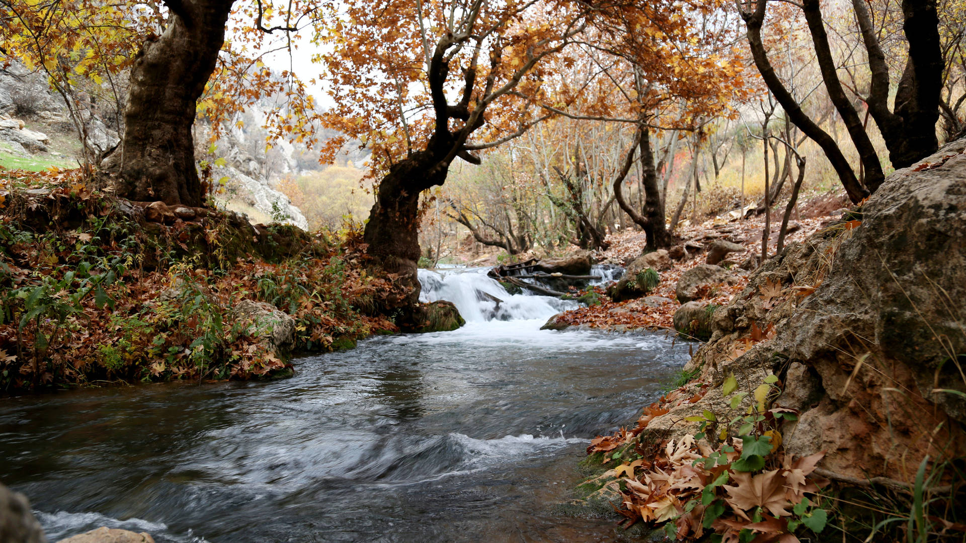 Autumn Season River Wallpaper