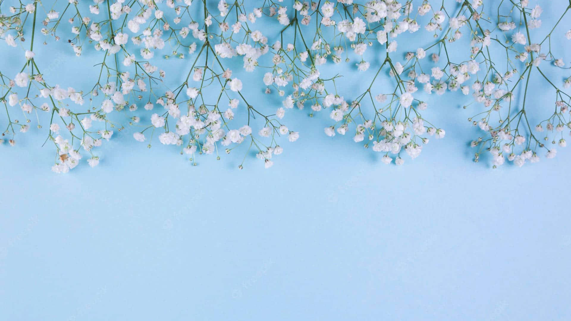 Simple Blue Wallpaper