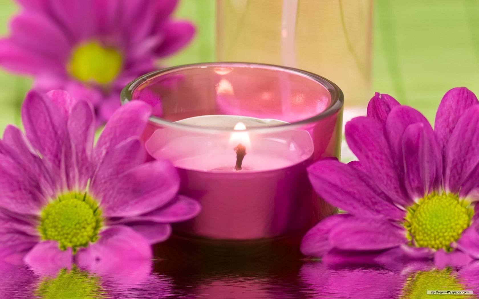 Dream Wallpaper Spa