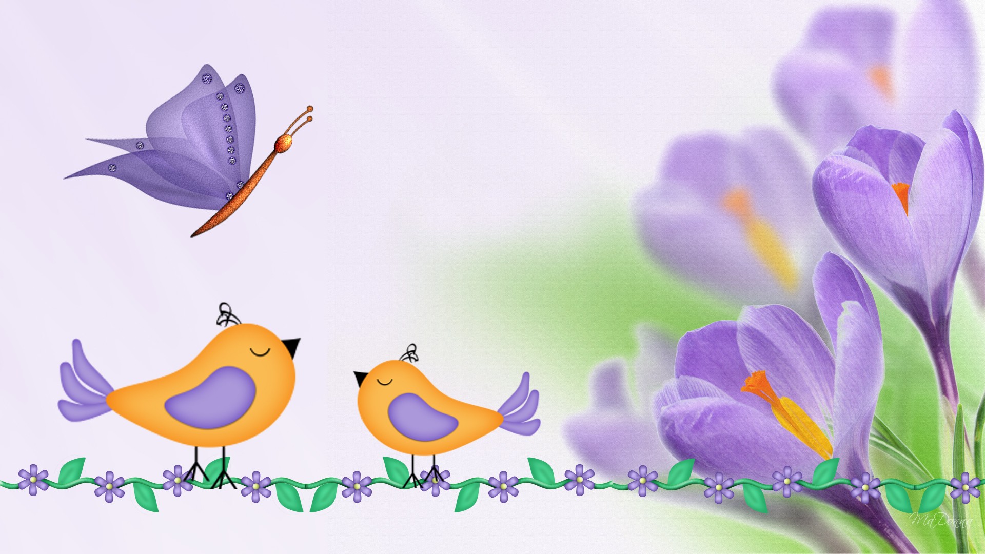 purple crocus birds and butterflyjpg
