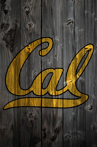 California Golden Bears Wood iPhone Background Photo