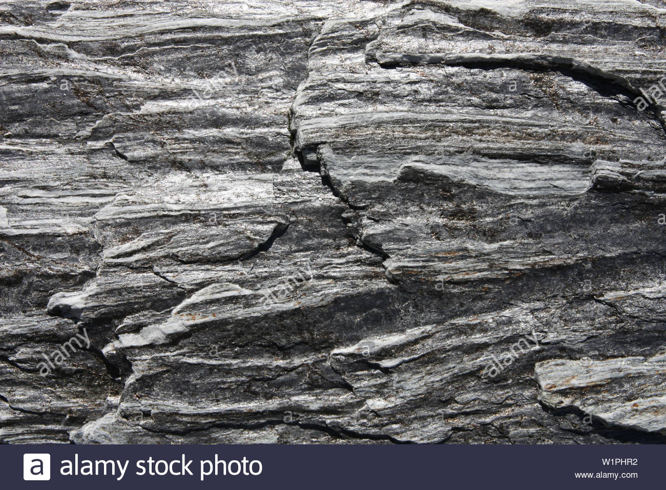 Metamorphic Rock Background Gneiss Texture In New Zealand Stock