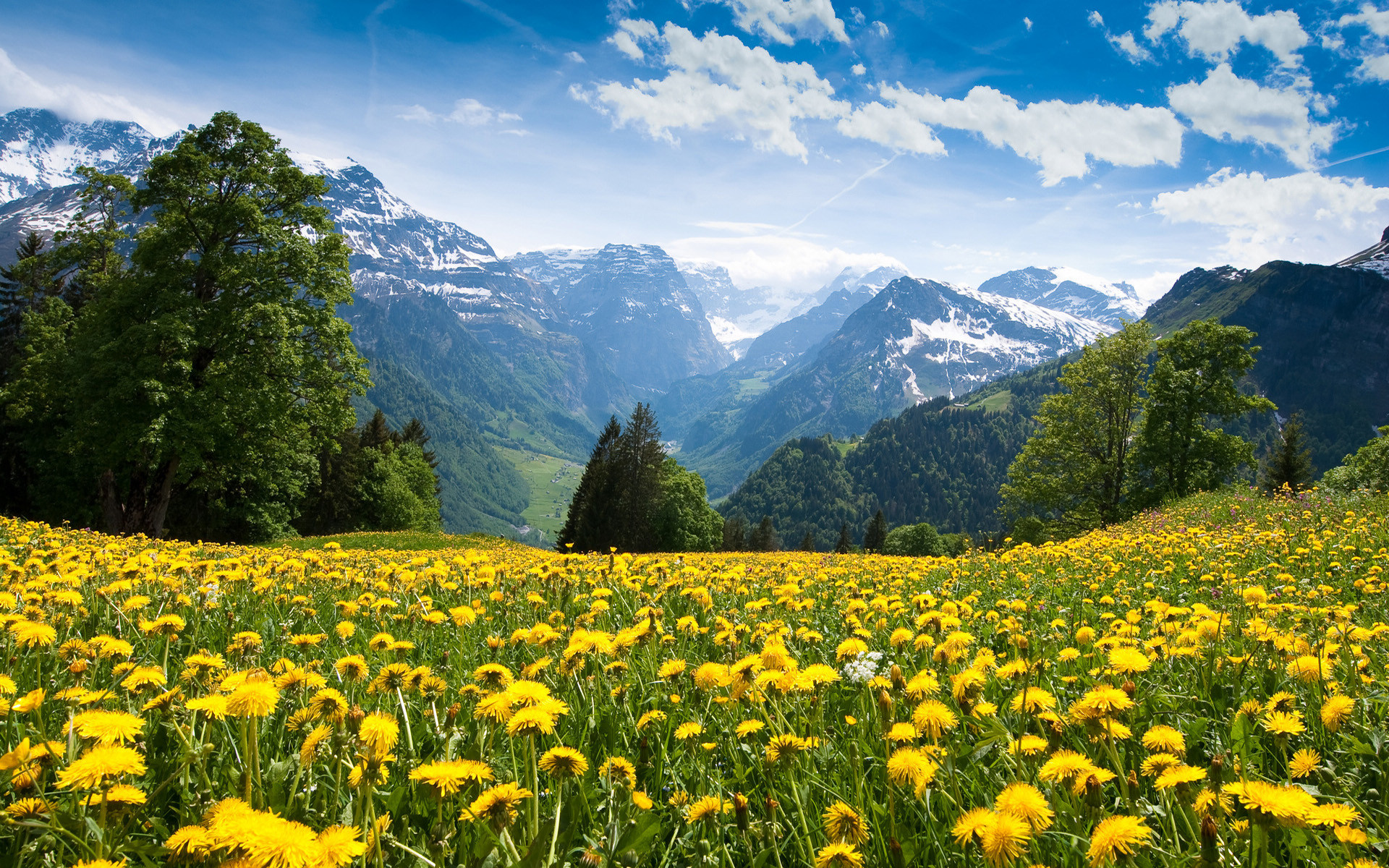 Swiss Alps Wallpaper