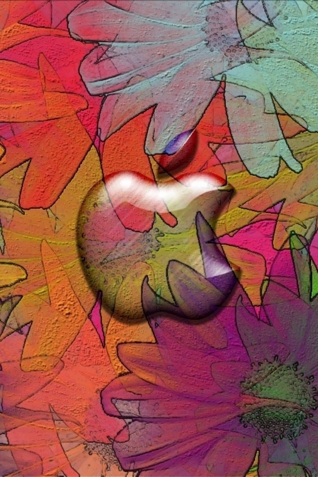 Apple iPhone Wallpaper Flowers Color