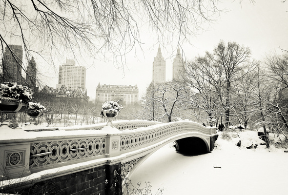 City Park Usa Snow Winter Desktop Wallpaper World Goodwp