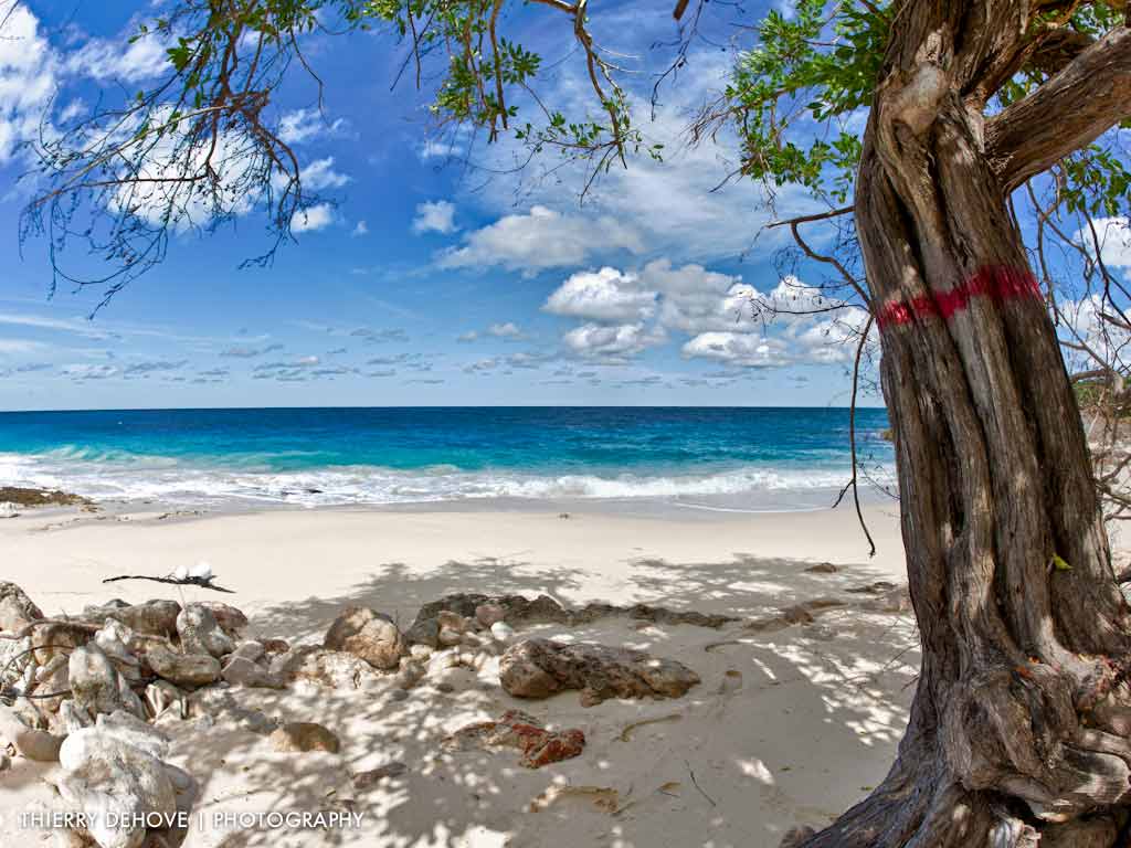 Caribbean Beach Desktop Wallpaper for Pinterest