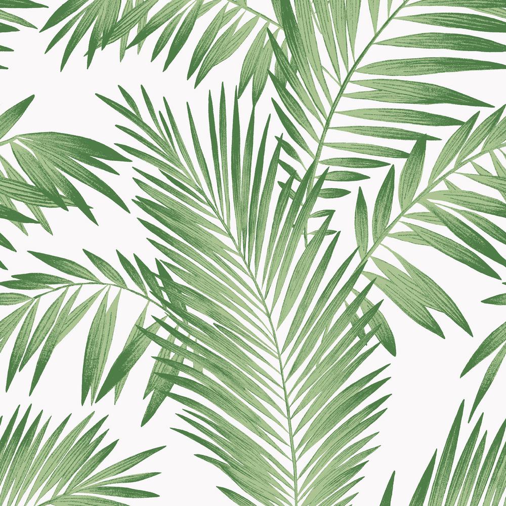 Tropical Palm Green Wallpaper
