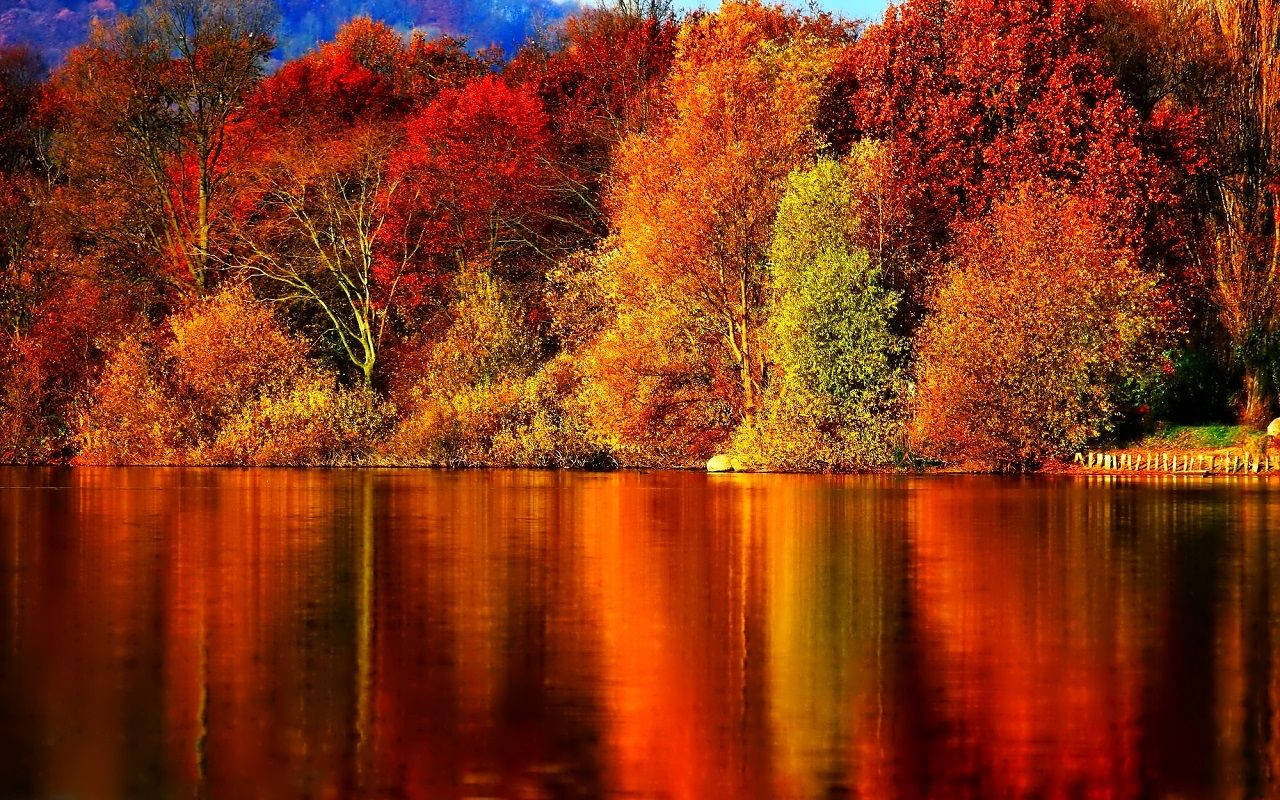 Autumn Lake And Colorful Trees Doa52uqtvxmbyn38 Wallpaper