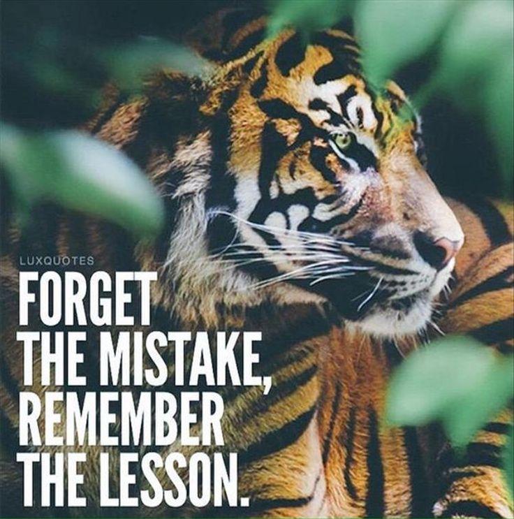 Quotes Of The Day Pics Tiger quotes Positive quotes