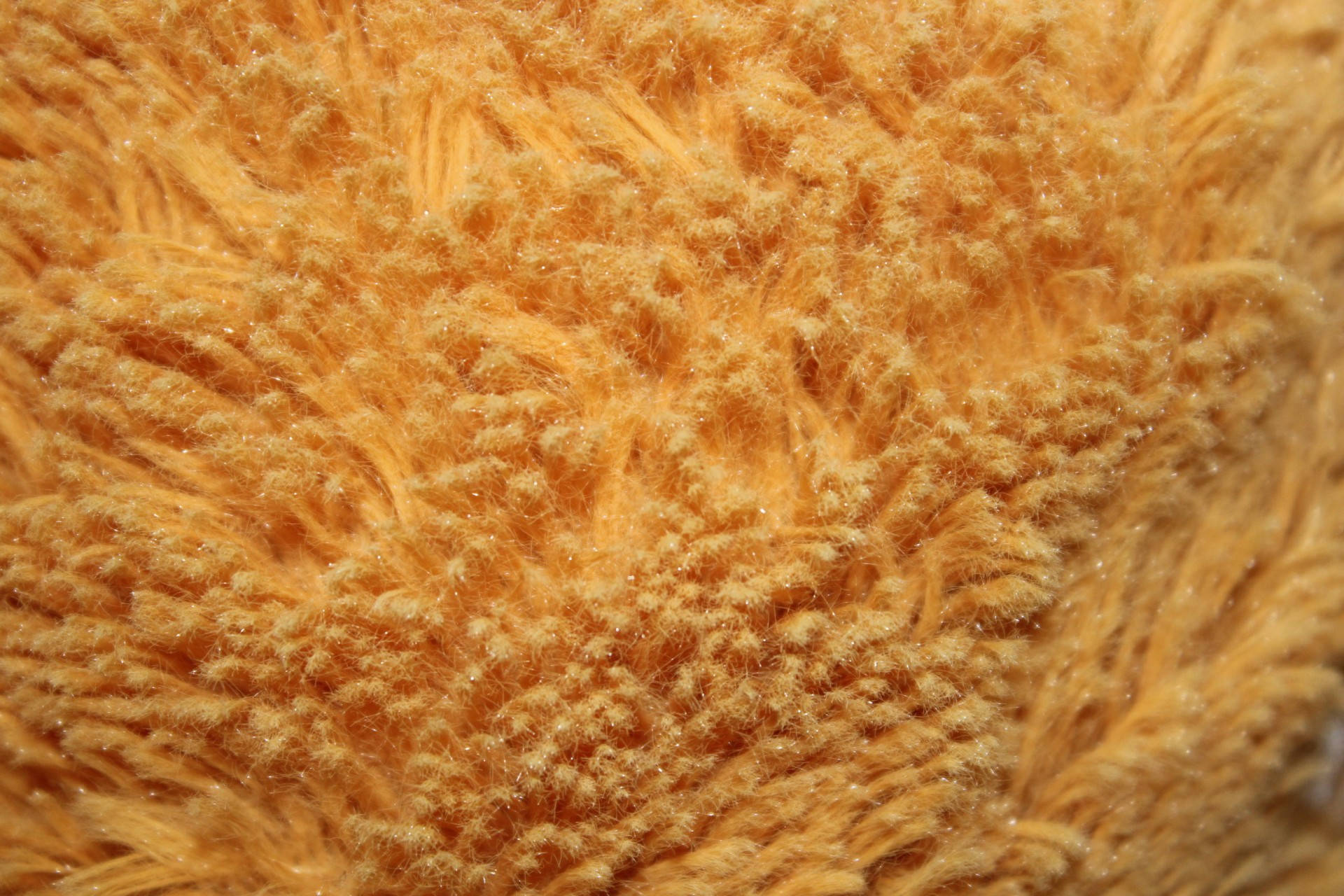 Animal Fur Wallpaper