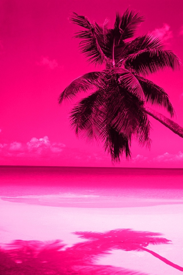 Pink Palm Trees Cool Wallpaper For Phones