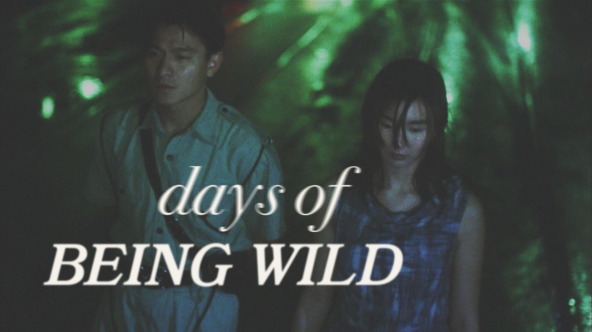 Days Of Being Wild Trailer On Vimeo
