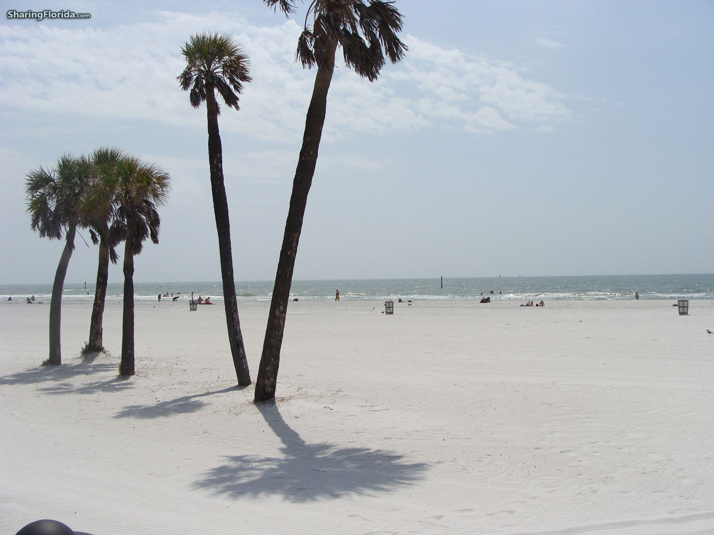 Clearwater Beach Wallpaper And Background Florida Gulf Coast